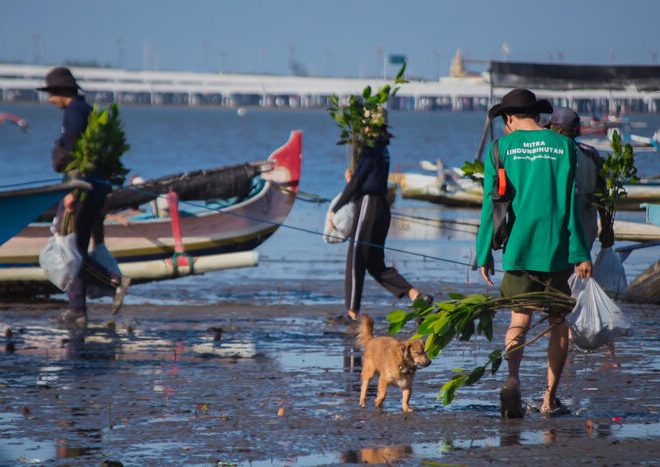 Protikihutan achieved a target of 1 million trees, these are those who support their success