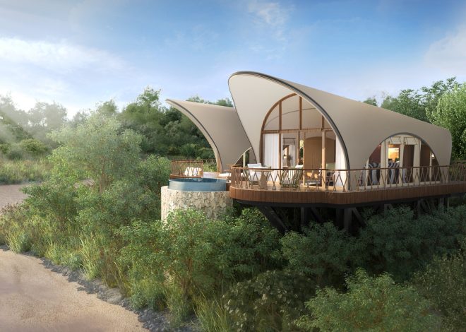 Ritz-Carlton Masai Mara Safari Camp: A combination of visionary between elegance and wild Africa