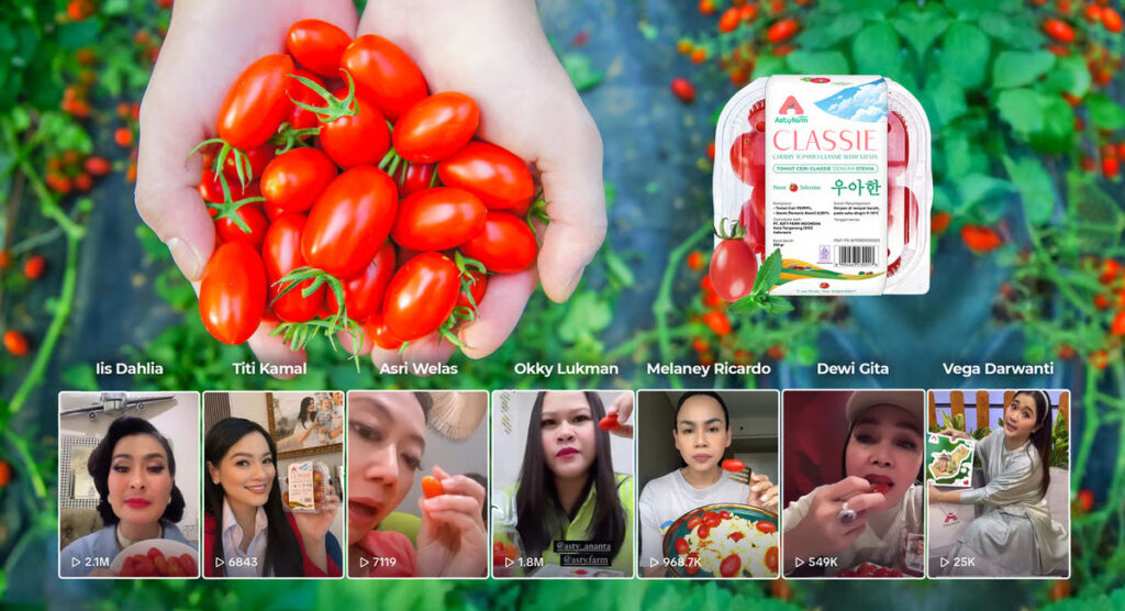 Cherry Tomato Stevia Astyfarm, Premium tomato that makes Indonesian artists fall in love