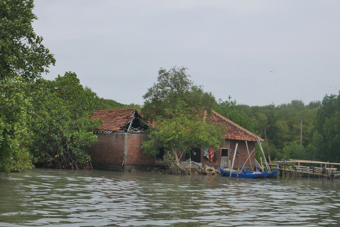 Indonesian Forest Day 2025: climate crisis, tidal floods, and increasing forests